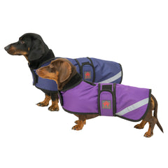 Outdoor Waterproof Dachshund Coat