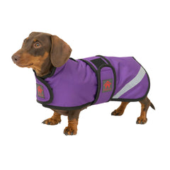 Outdoor Waterproof Dachshund Coat