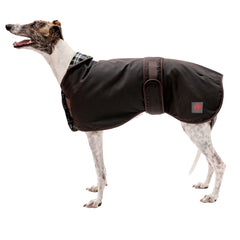 Waxed Sighthound Coat