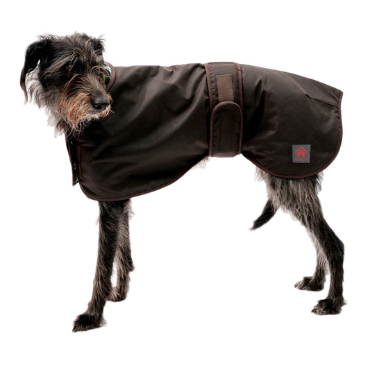 Waxed Sighthound Coat