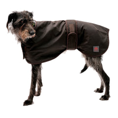 Waxed Sighthound Coat